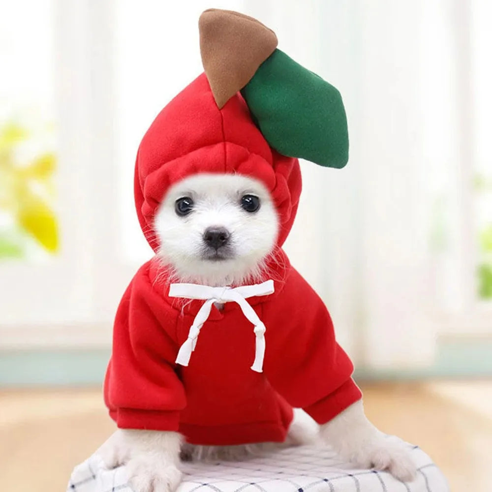 Cute Fruit Dog Hoodie – Winter Warm Fleece Outfit for Small Dogs & Cats 🐶🐱